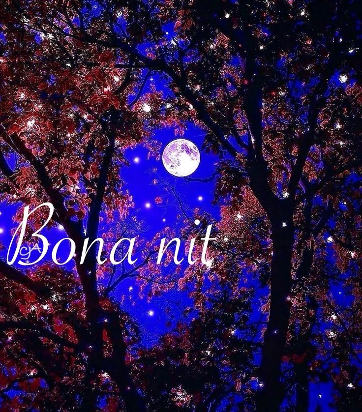 armengol1714's tweet image. Bona nit, fins demà si Déu vol.