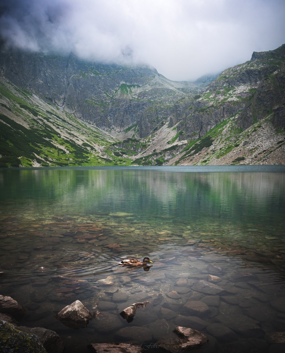 MeteoWlkp's tweet image. Kolejna porcja zdjęć z Tatr - tym razem 4 piękne jeziora karowe: Morskie Oko, Czarny Staw pod Rysami, Smreczyński Staw i Czarny Staw Gąsienicowy :)
Fot. własne, wykonane w dniach 14-21.07.2025