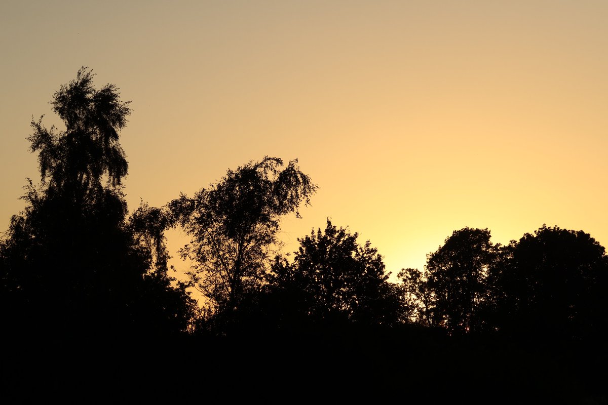 ThomasM73576526's tweet image. Good night.