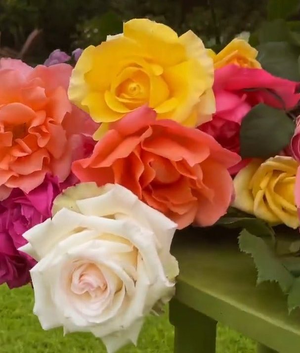 andreash1's tweet image. “You can cut all the flowers
but you cannot keep Spring from coming.”

― Pablo Neruda