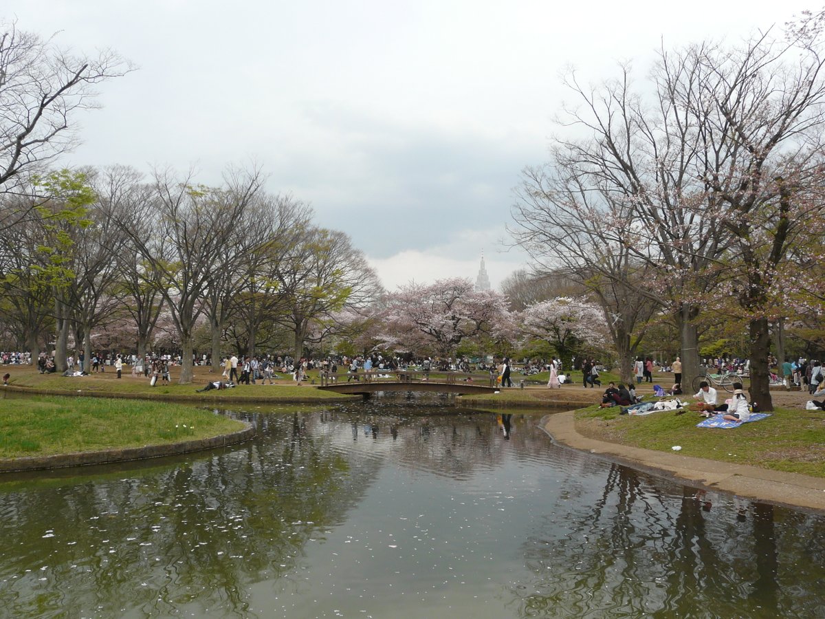 DavidYukioAmano's tweet image. #japon #japan #Tokyo
Photos prises dans le parc Meiji Jingu à #Harajuku