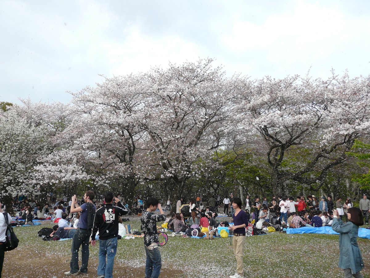 DavidYukioAmano's tweet image. #japon #japan #Tokyo
Photos prises dans le parc Meiji Jingu à #Harajuku