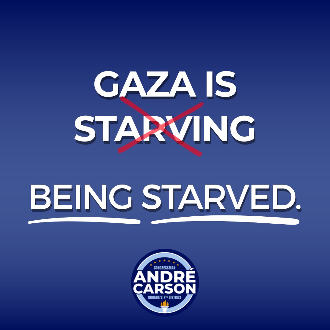 Gaza isn't starving. It's being starved.

The Israeli government has blocked humanitarian aid into Gaza for over 8 months. Over 150 Gazans have been killed by starvation, 82 of those children. 

On top of that, Israeli strikes are targeting dozens of people seeking the little aid