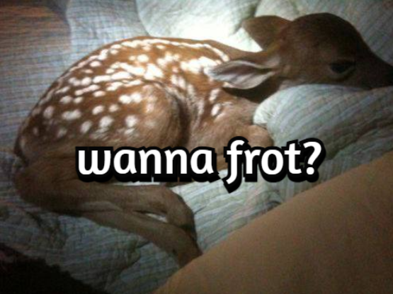 deertexting's tweet photo. https://t.co/AnFWJUyLcX