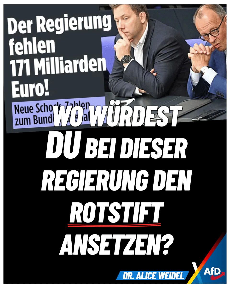 Alice Weidel tweet media