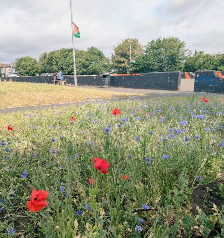 The Patchwork Meadow tweet media