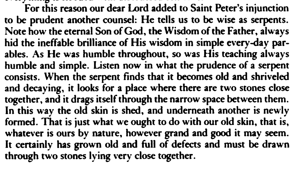 julienries13's tweet image. Johann Tauler&apos;s explanation of Christ teaching to be &quot;wise as serpents&quot;. Connecting this teaching with images of stones in Christ&apos;s preaching, we should change our old skin between the two stones of God&apos;s divinity and Christ&apos;s humanity.