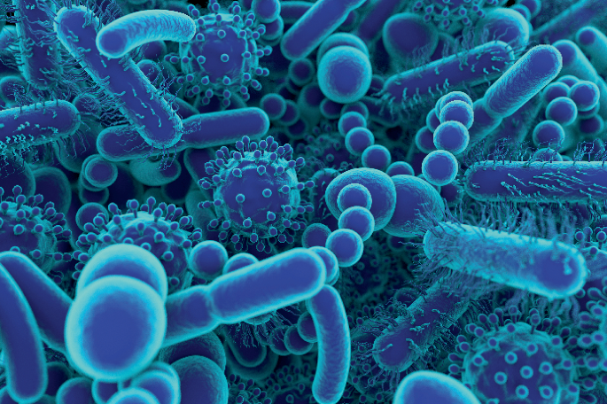 NatRevNeph's tweet image. Complex interplay between uraemic toxins, gut microbiota and diet nature.com/articles/s4158…