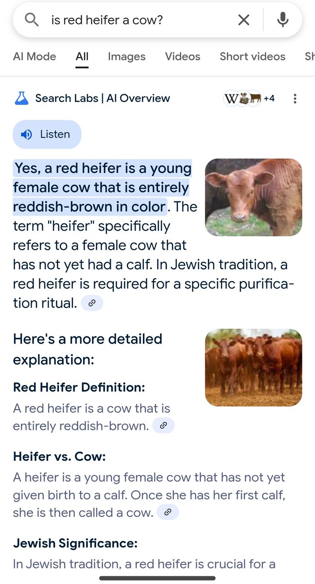 EngineerTarik's tweet image. Israel Ko Third Temple Banana Hai Uske Liye Kai Red Heifer Gaay Ko Jalaya Jaega Aur Israili Log Us Gaay Ki Rakh Se Khud Ko Pure Karege

Jo Maa Ka Bhakt Gaay Ko Mata Aur Israel Ko Baap Mante Hai Himmat Hai To Isral Ko Esa Karne Se Rok Ke Bataye. Tumhari Maa Ko Jala Rahe He Dekho