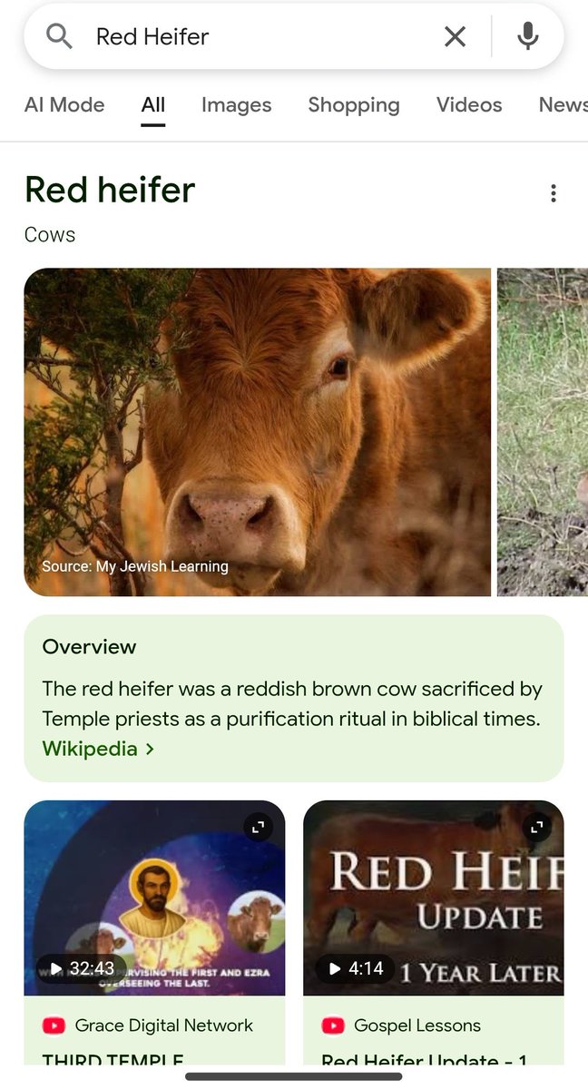 EngineerTarik's tweet image. Israel Ko Third Temple Banana Hai Uske Liye Kai Red Heifer Gaay Ko Jalaya Jaega Aur Israili Log Us Gaay Ki Rakh Se Khud Ko Pure Karege

Jo Maa Ka Bhakt Gaay Ko Mata Aur Israel Ko Baap Mante Hai Himmat Hai To Isral Ko Esa Karne Se Rok Ke Bataye. Tumhari Maa Ko Jala Rahe He Dekho