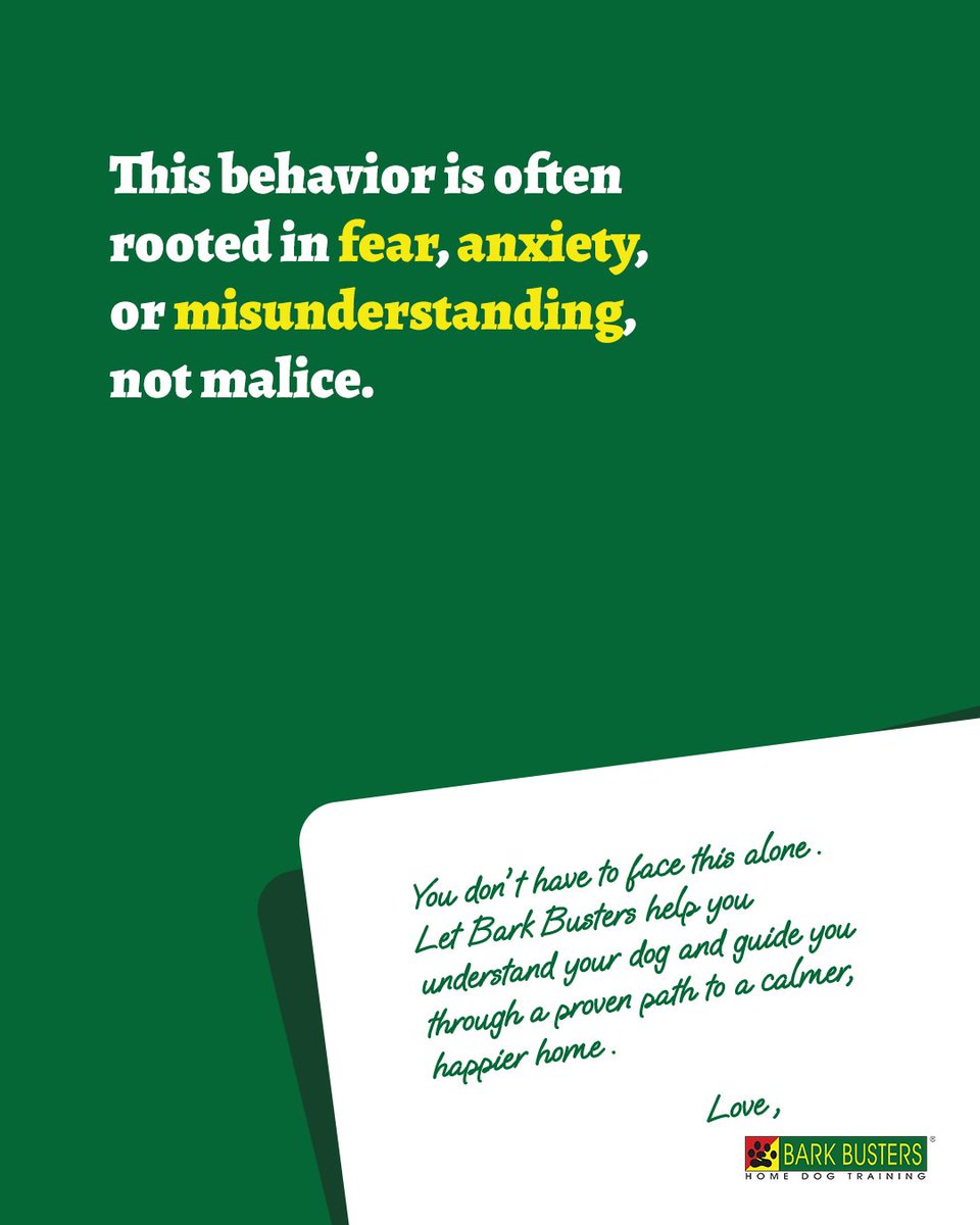 DogsinHouston's tweet image. Aggression doesn’t make your dog “bad”.

Growling, lunging, snapping… these behaviors are often signs of fear, anxiety, or misunderstanding, not malice.

Send us a DM and let’s create a safer, happier future for both of you.

#barkbustershouston #dogbehaviorhelp #dogtraining
