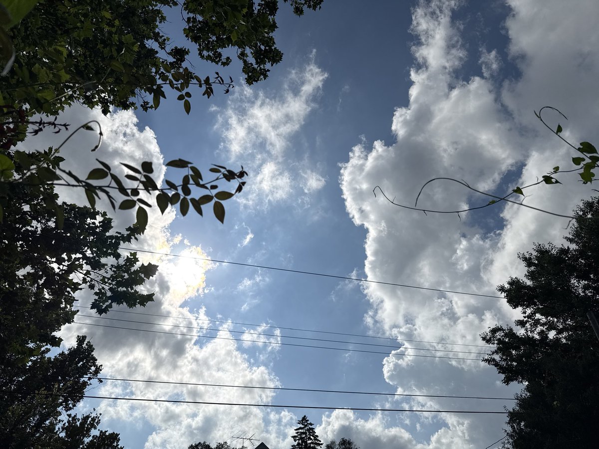 ok_listener's tweet image. summer
