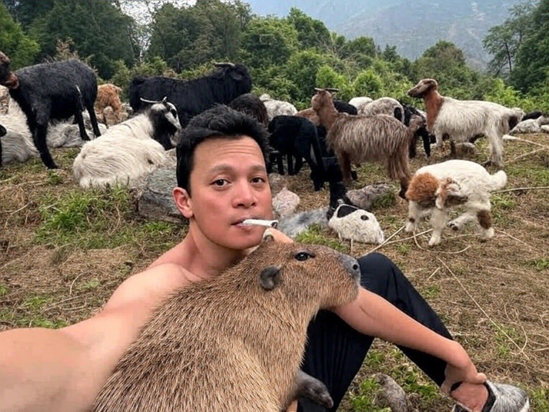 capyonbonk's tweet image. chillin w/ @weremeow