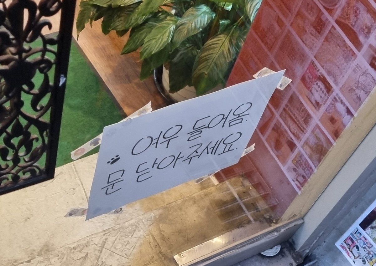 셍 (@the3rd0) on Twitter photo 