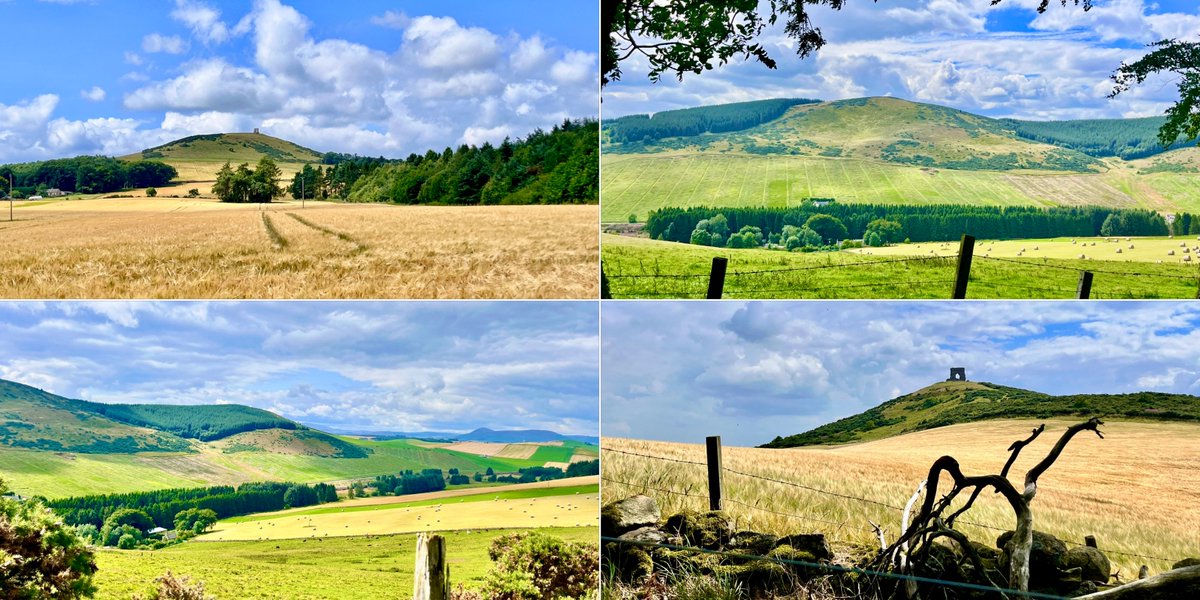 Today, Insch💙 #walking #hiking #insch #dunnideer #dunnideerhillfort #hillofchristskirk #hillofflinder #taponoth #aberdeenshire #walkingaberdeenshire