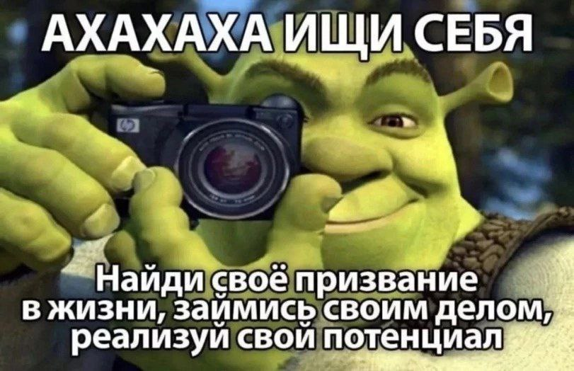 aperigator3's tweet image. 