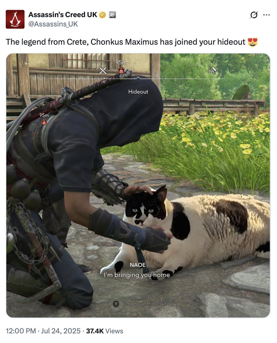 Didier2813's tweet photo. @cripweb3 Chonkus Maximus is making waves on TikTok and Google search with his own maps pin. CT is lagging behind for the first time. https://t.co/q0o3fM52cm