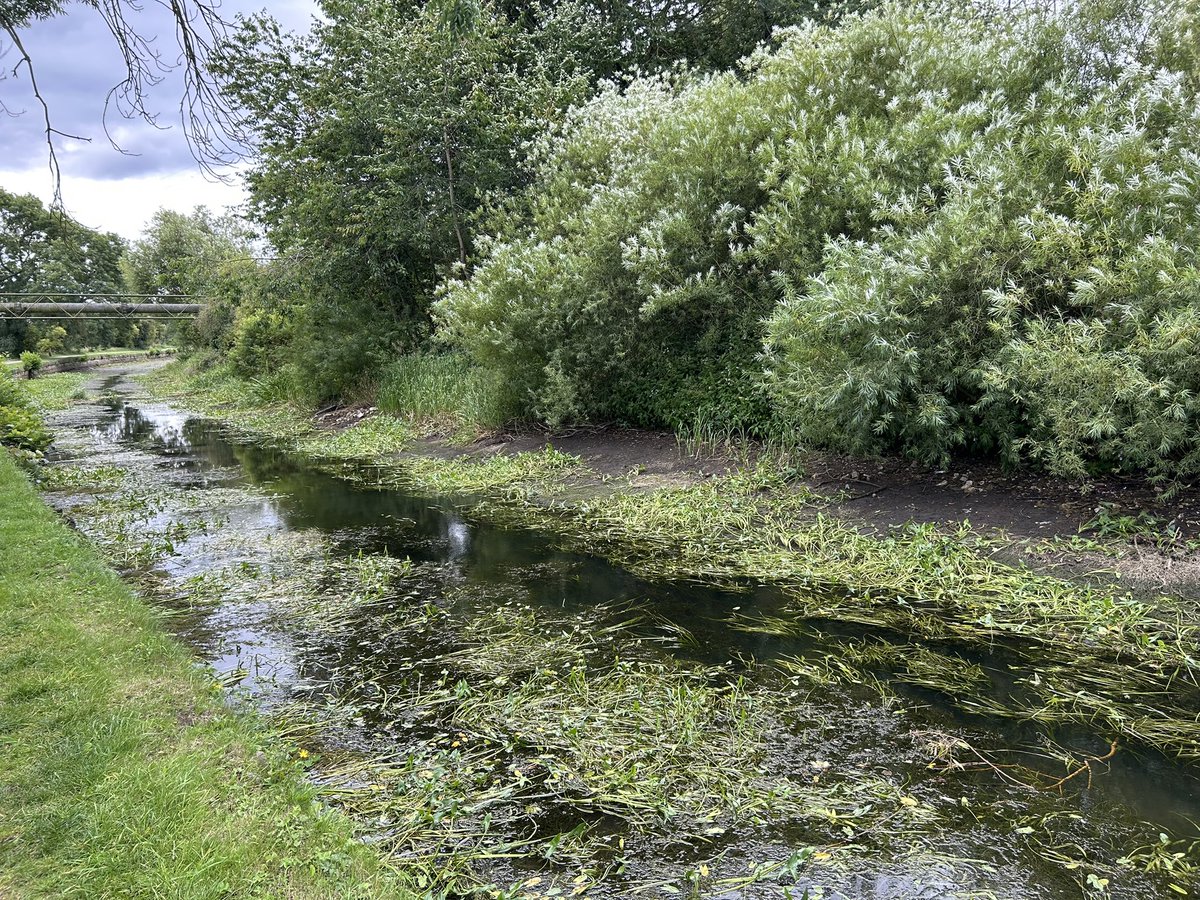 rodleylife's tweet photo. If you’ve been wondering why there are so few barges coming along the @CanalRiverTrust #leedsliverpool #rodley #farsley wonder no more.
Literally only 1 to 2 foot of water in some parts of out today. #impassable. https://t.co/nkMuDTpYSq