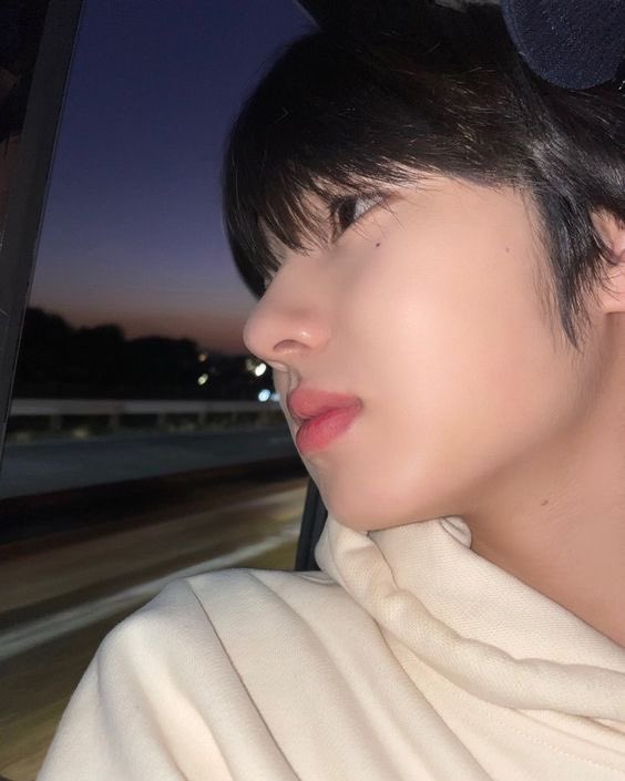 maikuyaa's tweet image. 오야스미🪽
사쿠 콧대 턱선 보고 좋은 꿈 꾸세요