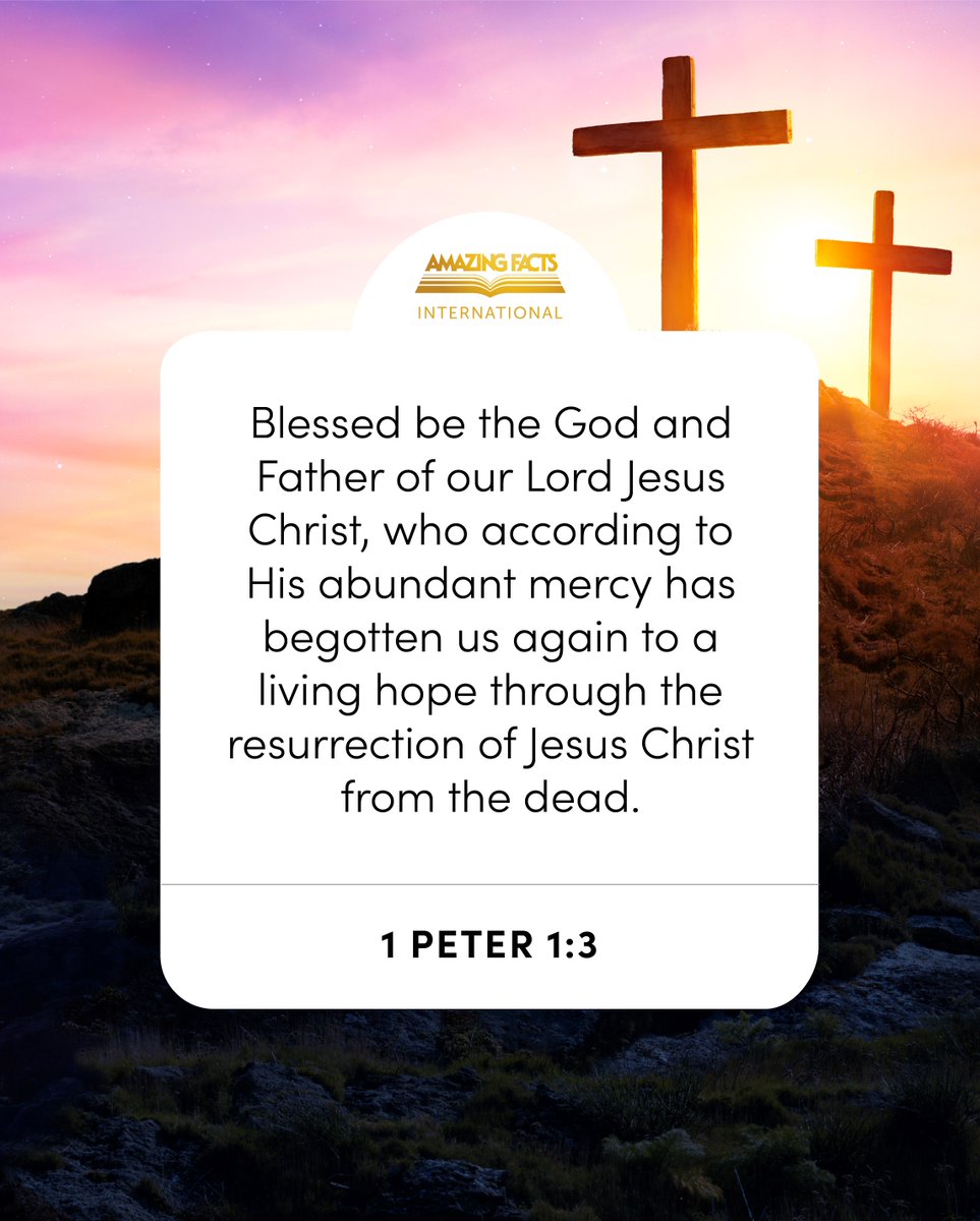 Amazing Facts (@amazingfacts) on Twitter photo 