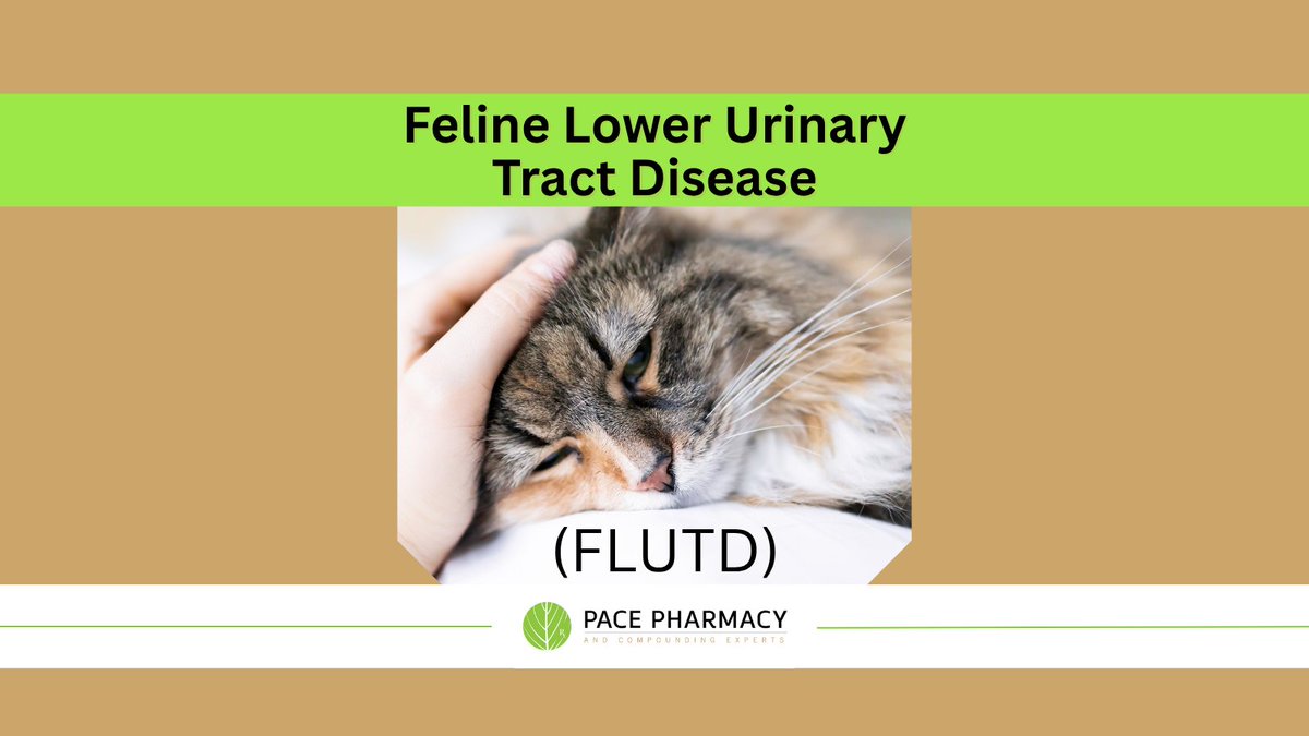 Pace Pharmacy And Compounding Experts tweet media