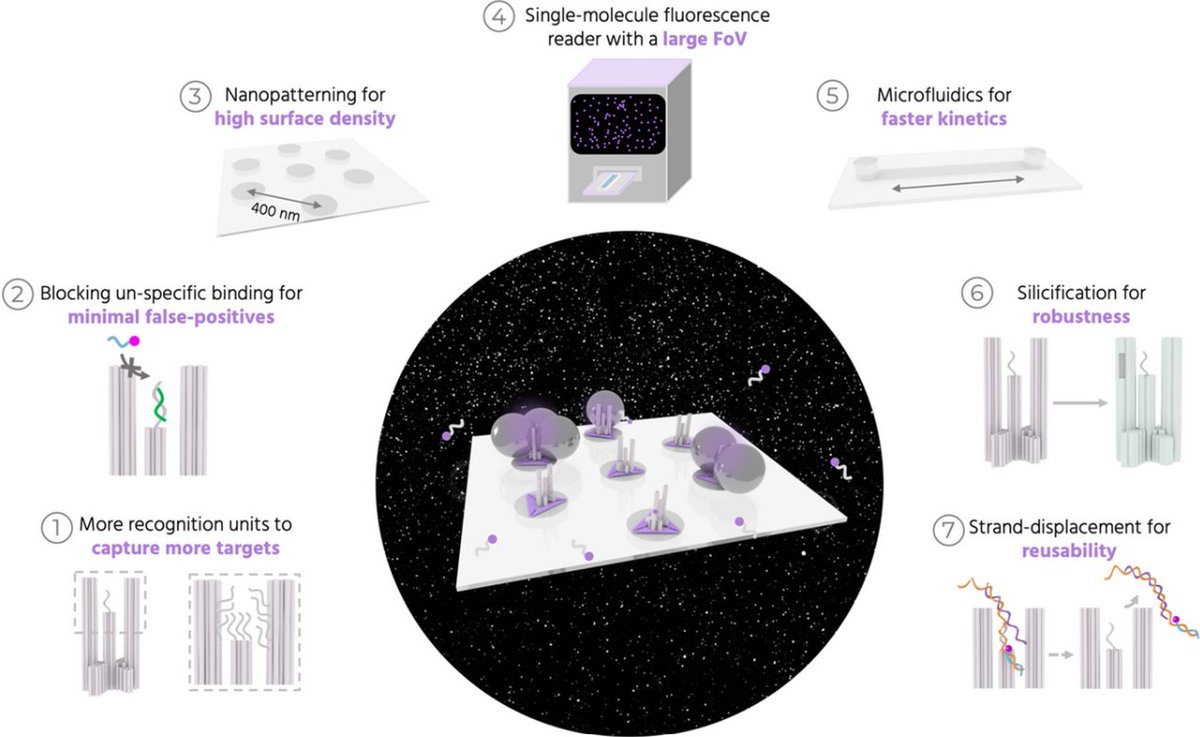 1/3 🚨🥳New paper out in Advanced Materials!
We bring attomolar, amplification-free DNA detection to the point-of-care using DNA origami nanoantennas.🧬Check it out here: advanced.onlinelibrary.wiley.com/doi/10.1002/ad…