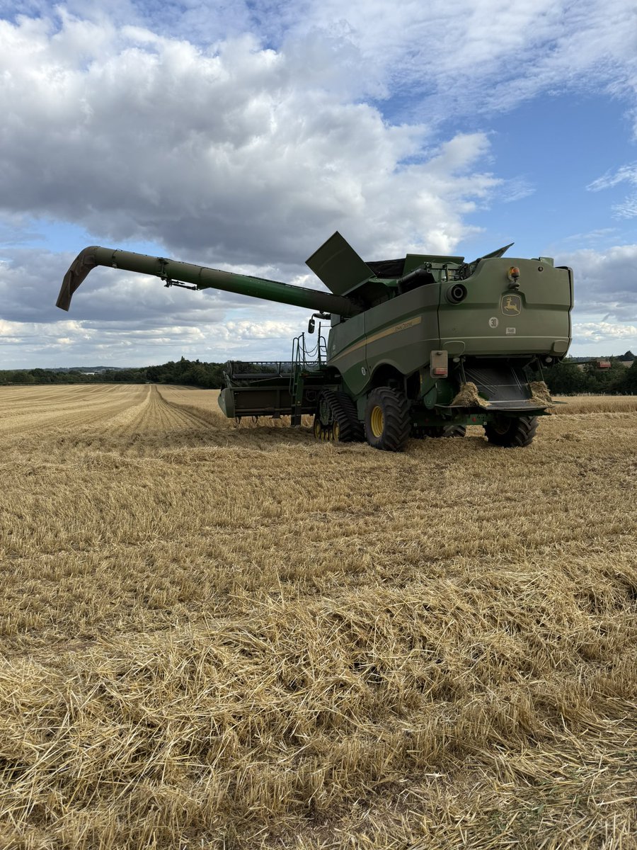 I love this time of the year