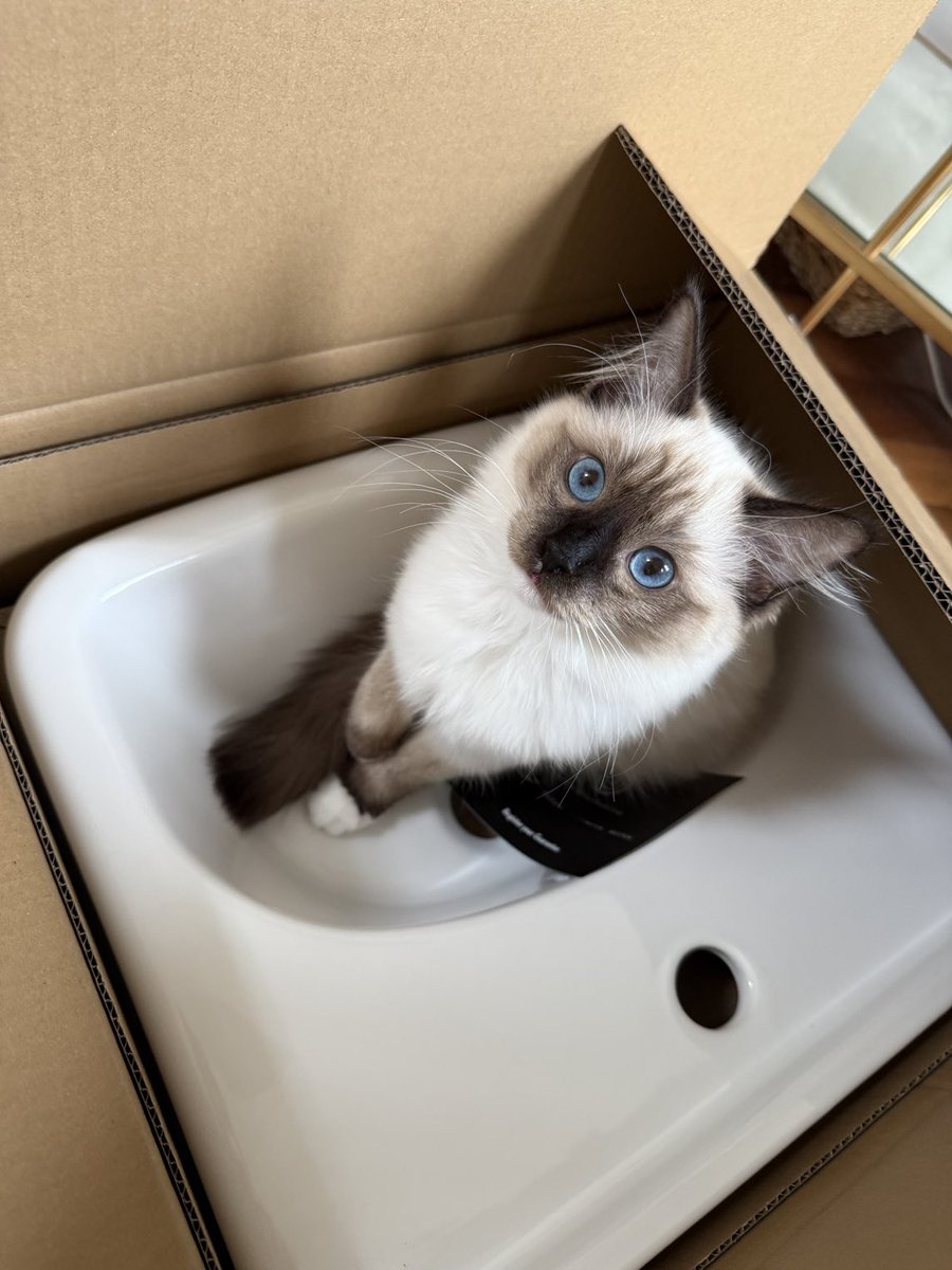 Jack in a box 😂🍺