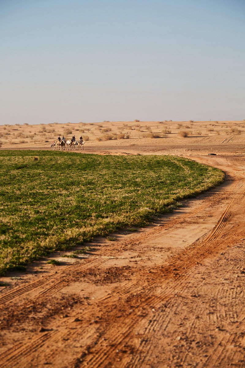 SFCBF – Special Forces Club Benevolent Fund tweet media