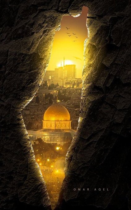 👑#آدم_A
#ملك_الدعم_والاضافات👑
<a href="/nor3rh/">💎Nor elrhman💎</a> 
<a href="/WX2fu/">مهندس ايمن عماره</a>
<a href="/oz35q/">σƶ∂εɱเ૨</a>
<a href="/ks35z/">Al-Haytham</a>
<a href="/w248l/">H ....</a>
<a href="/4474ll/">H.M</a>
<a href="/j4v4k/">k.R</a>
<a href="/Y_O_U_S_1/">✨️ YOUSIF ✨️</a>
<a href="/sungelin/">Sarı gelin</a>
<a href="/muna_alD/">بلقاوويه مزيوونه ❤️🇯🇴</a> 
<a href="/1Tmgus/">GUS/1/³ 🐐</a>
<a href="/lynna_nich/">LynnaRTGAINS 💞 100K #ActiveGains #MGWV</a>
<a href="/jiiiijp/">🪷رﭸيَقٌ آلُآيَمْآنْ🪷</a>
<a href="/bnte_/">بـٌـٌٌـٌٌٌـٌٌـٌنـِِـِـتـٌـٌٌـ۔</a>
<a href="/_1gul/">Aαɾα น'Şคfຊคi</a>
<a href="/1Aara_/">○° آراءخان°○</a>
<a href="/SEltaer/">Sayed zenhom altayar</a>
<a href="/_b_gz/">غزال رجل مصري</a>
<a href="/Ha_ze_l_1/">𝐇𝐚𝐳𝐞𝐥 𝆺𝅥⃝🧸</a>
<a href="/SunilY93656/">Sunil Yadav</a>
<a href="/eiaduha/">﴿••༻ 🕊 ༺••﴾</a>
<a href="/_Ayat_G/">Nida</a>
<a href="/eiaduha/">﴿••༻ 🕊 ༺••﴾</a>
<a href="/Sc2017W/">SC2017</a>
<a href="/cknlaw1/">🌐ニシ🍥⚖️</a>
♥️
