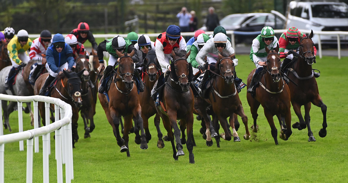 🏆2nd race: The Iggy Daly Easyfix Handicap Hurdle
Won by: Jerrari
Trained by: Mrs John Harrington
Ridden by: Donagh Meyler
Owned by: Mount Temple Three Syndicate
👏Congratulations from all the team at Galway Racecourse #GalwayRaces
Photography: Healy Racing
Sponsor: