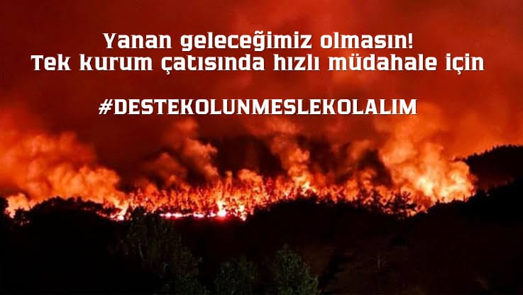 sedat_sengur's tweet photo. #destekolunmeslekolalım https://t.co/KnGT31qse2