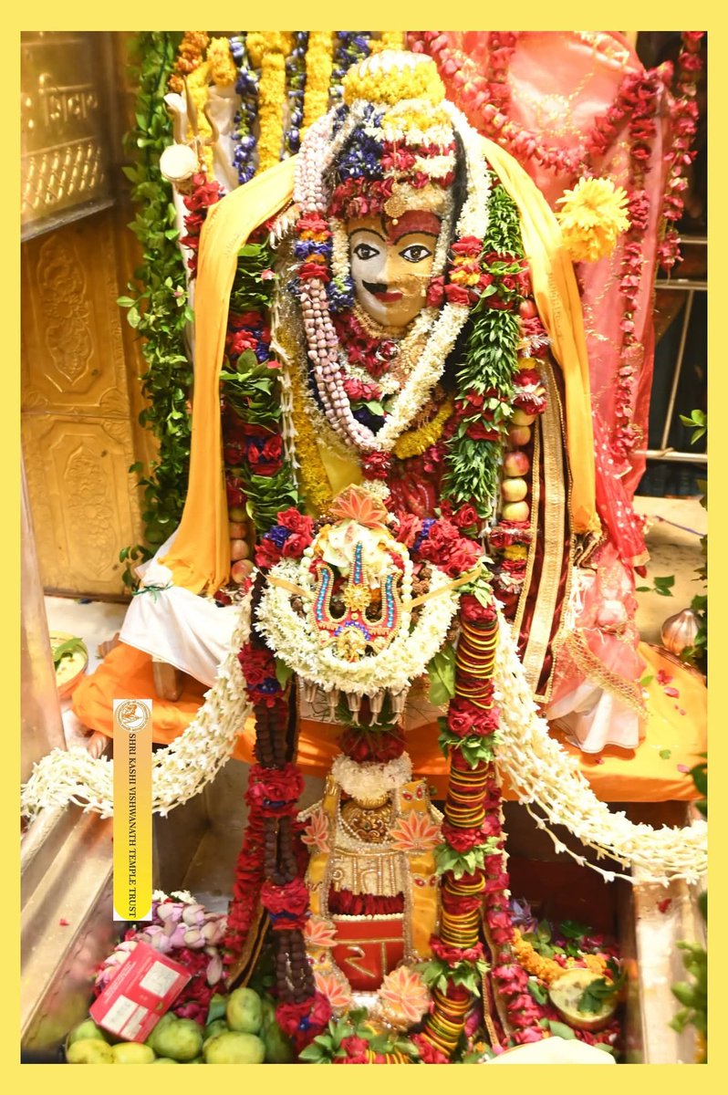 Nishapati1981's tweet image. तृतीय श्रावण सोमवार, भगवान श्री विश्वेश्वर के अर्धनारीश्वर रूप में श्रृंगार दर्शन I