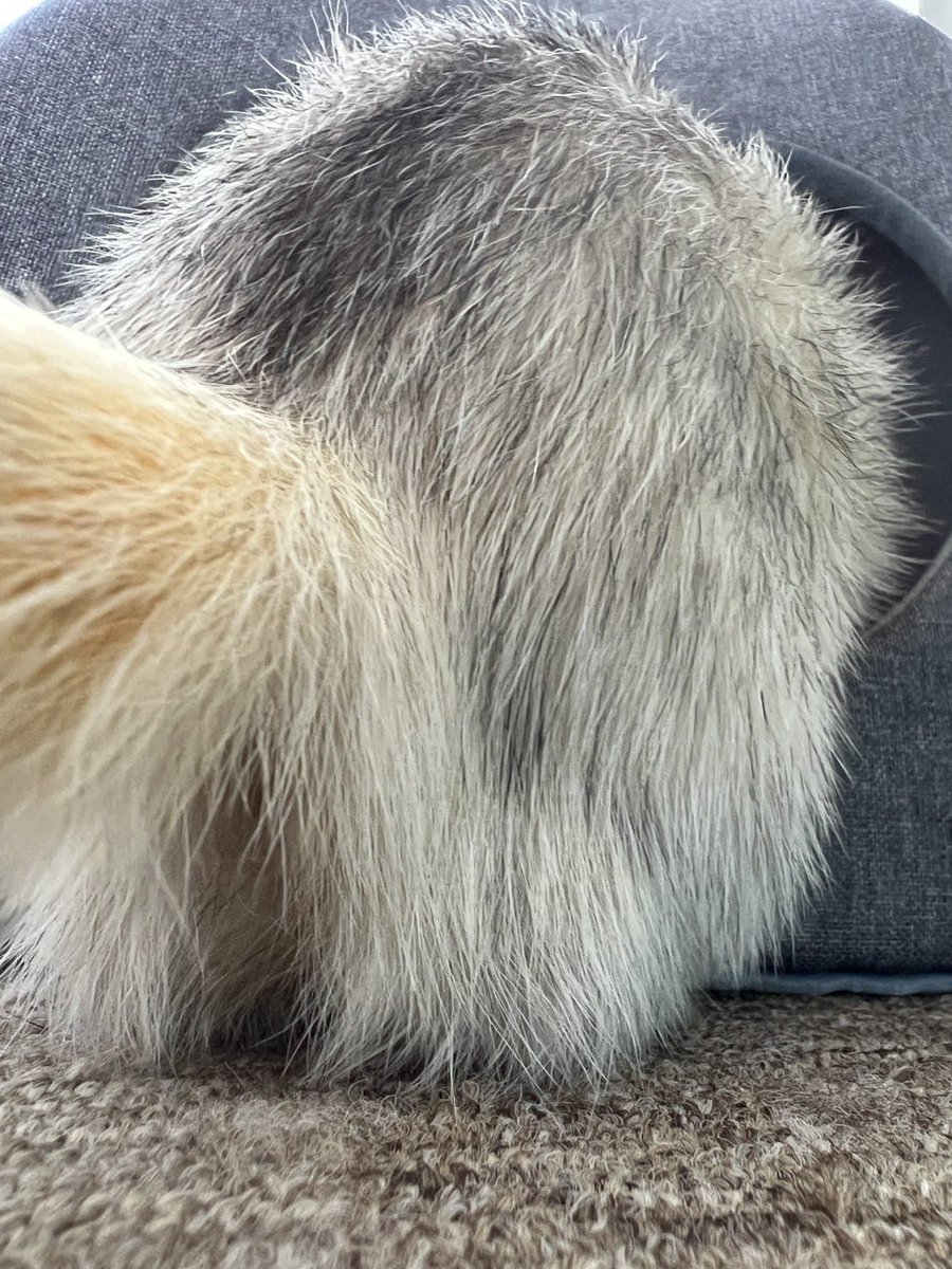 jonteeeen1's tweet image. って、アホみたいにgrokで遊んでないで、早く寝よ笑

明日もお仕事だよ(認めたくはないけど)。