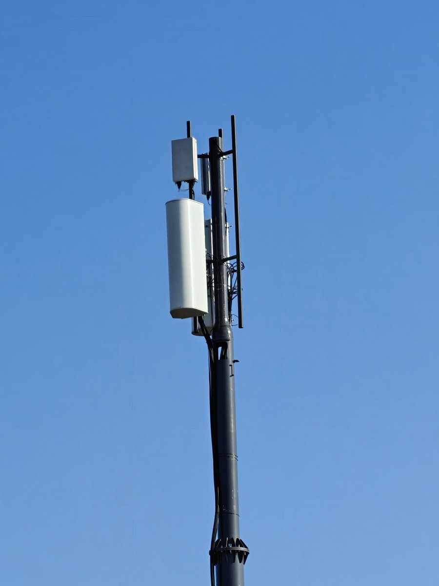 🐄 VacheGTI© Officiel ツ🐦 tweet media