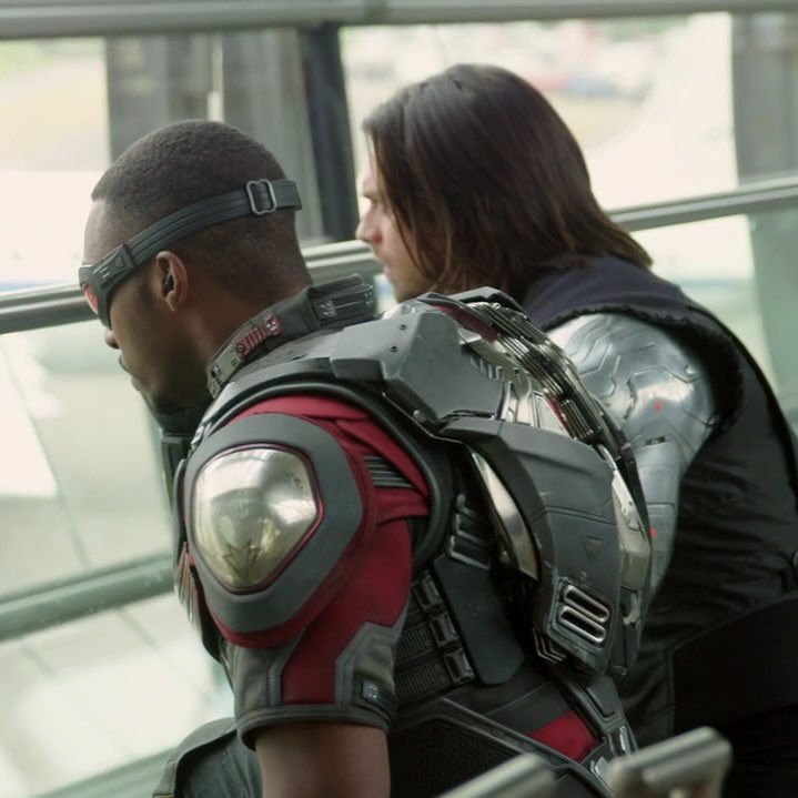 buckyascat's tweet image. 