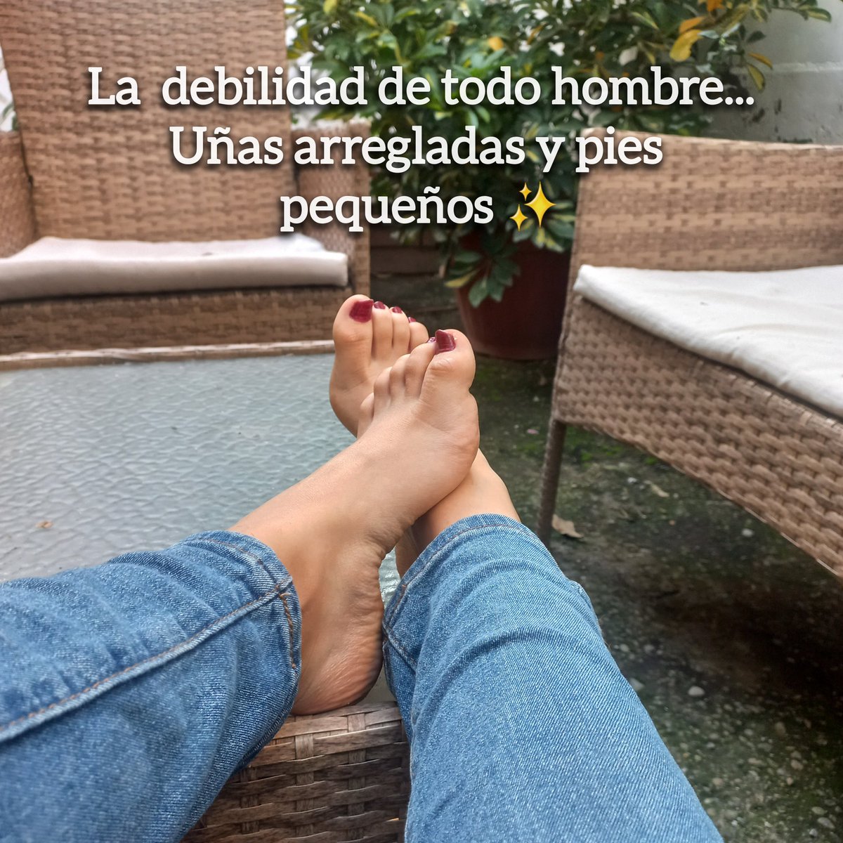 Tentatrix_'s tweet photo. Será? Confirmalo en comentarios

#piesbonitos #piesfemeninos #fetiche #fetichedepies #toes #soles #viral #comenta #comparte #humor https://t.co/U0Jz49Im0b