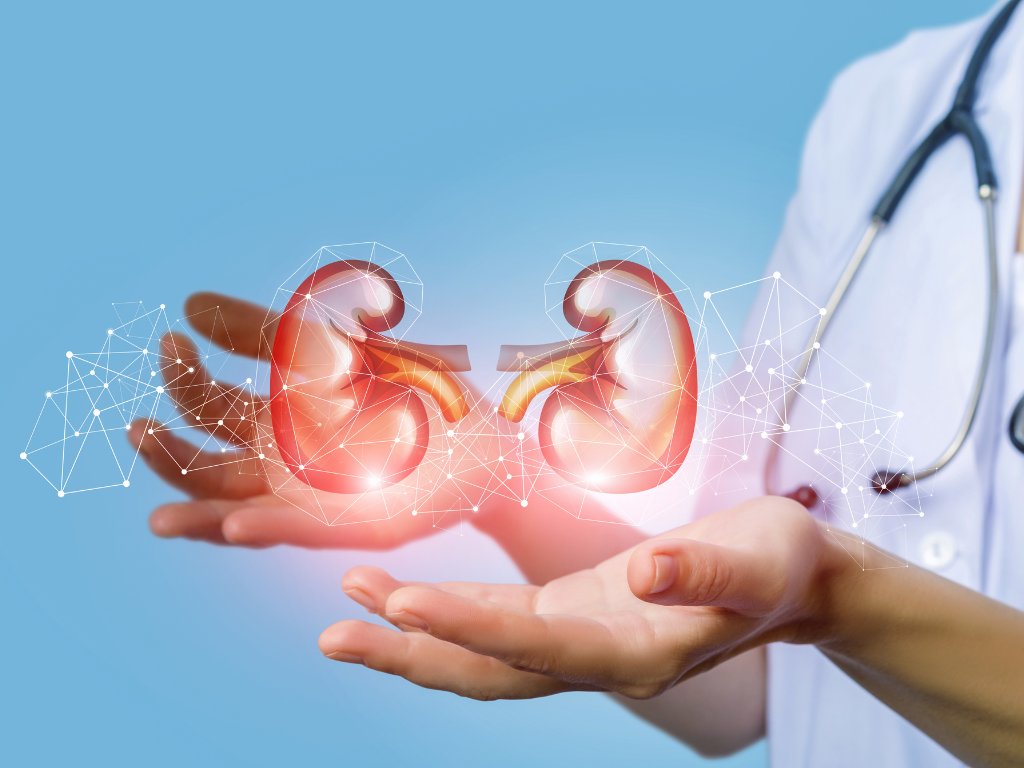 Kidney_Research's tweet image. We are supporting the UK Renal Health Data Research Network and BHF Data Science Centre for a one-day event on data science and the kidney.
This event is not to be missed if you work in nephrology, cardiology, public health, epidemiology, and primary care.
Hear from…