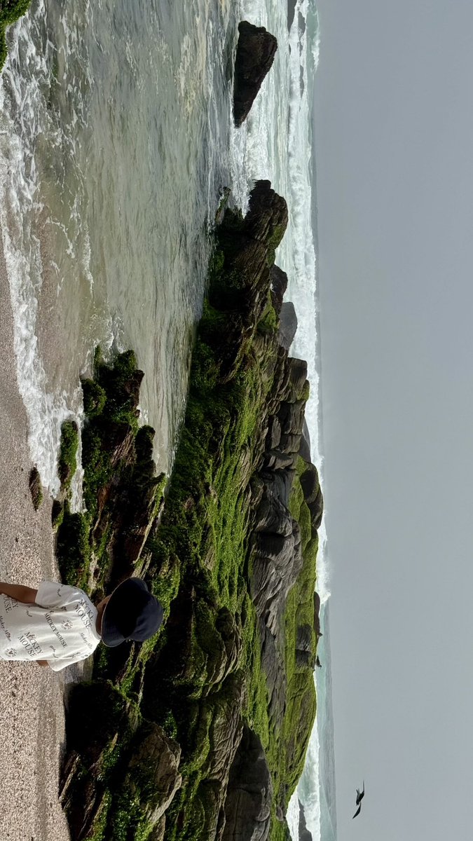 i1c0n_'s tweet photo. 🌴🥥🌊 https://t.co/ENP2r3EeLz