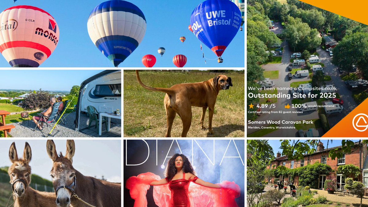 🤗 Morning!

🫣 If you've missed our July news... 

😃You can catch up here! 👇
tranquilparks.co.uk/news-from-our-…