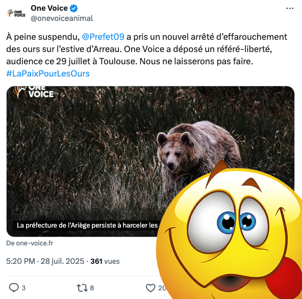 FrancAller_info's tweet photo. Faire du bruit pour que les gentils #ours mangent pas les brebis, c'est méchant ☝️
Trop méchant.
Cruel.
Vilain.
Voilà.
Na.
Bouh.
#OneVoiceAnimal 🤪
#Antispécisme #Sentientisme #Vegan
#Loufoques #HorsSol
#EnfermezLes
* L'effarouchement des ours à proximité des élevages les plus attaqués s'effectue :
🔹d'abord uniquement avec des moyens lumineux (torches, phares, guirlandes...) ou sonores (cloches, sifflets, cornes de brume ...)
🔹ensuite, et seulement si la prédation sur les troupeaux continue, avec des tirs de cartouches à blanc, dirigés à plus de 45° par rapport au sol.
Des dispositions restrictives sont prévues dans le cas d'une ourse suitée, où ces tirs ne peuvent être effectuée qu'en présence d'une d'attaque certaine sur le troupeau protégé.
Les agents de l'#OFB qui y procèdent opèrent en binômes. Aucun n'a le droit d'être muni d'une arme létale (si l'ours les charge au lieu de f... gentiment le camp).
➡️ https://t.co/L8g8hikHr9
* Les ahuris : https://t.co/1yx1thmL1H
