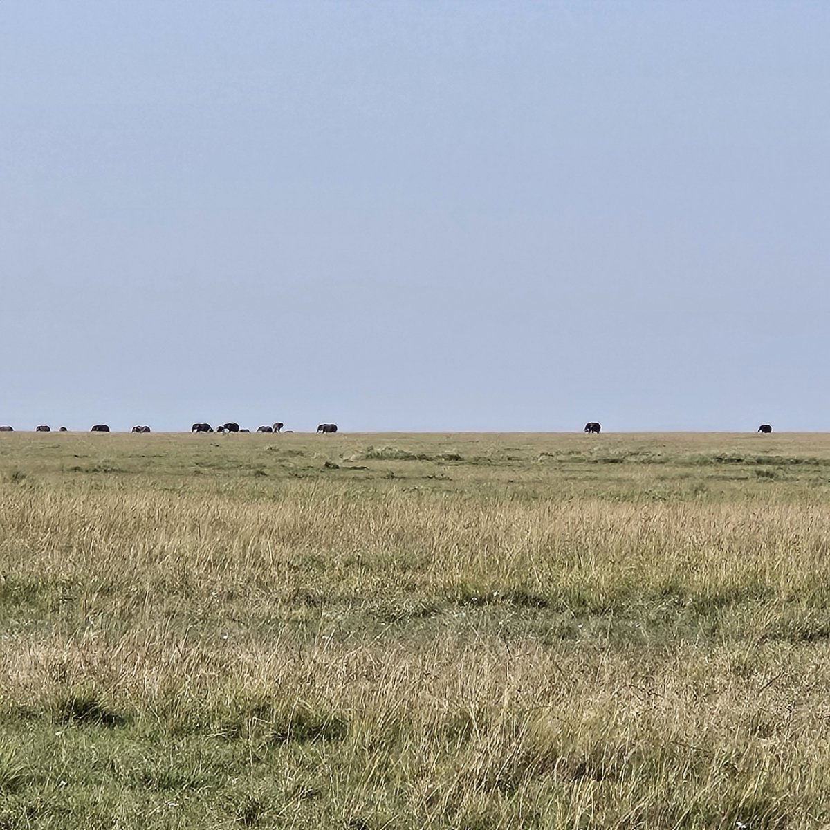 Kevin M. Ulmet tweet media