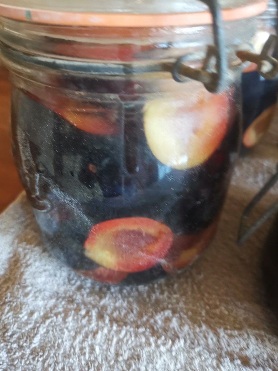kittylt's tweet image. Prunes en sirop pour cette hiver 😍😋 20 minutes à 100 degré stérilisation