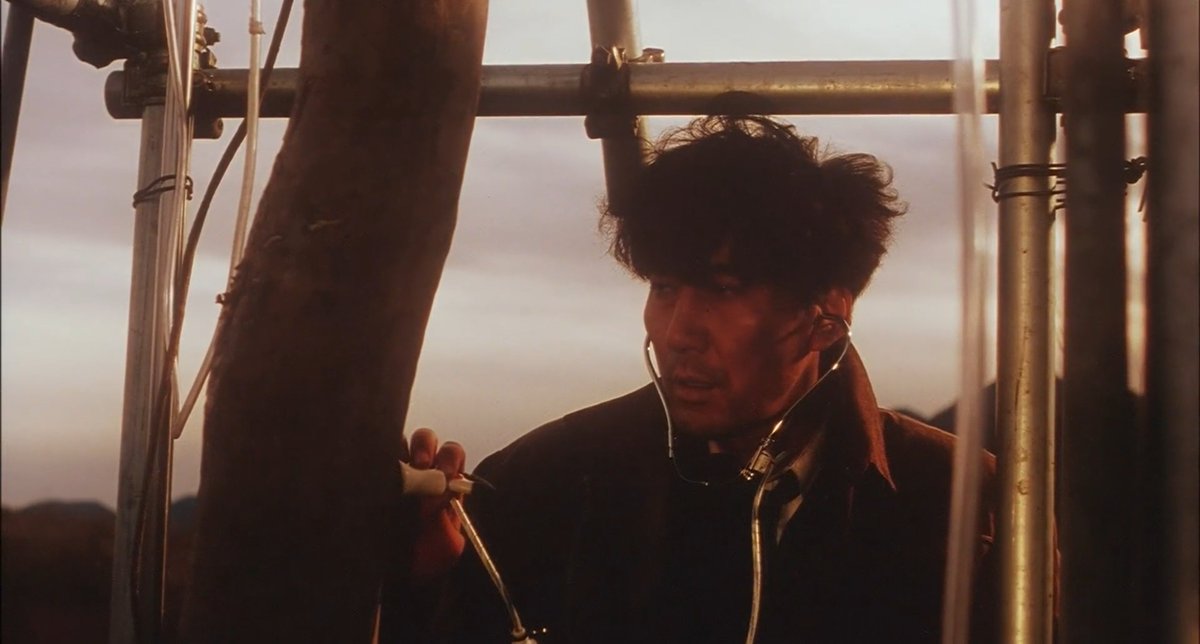 LavenderRex7705's tweet image. Charisma(1999) 

Dir. Kiyoshi Kurosawa