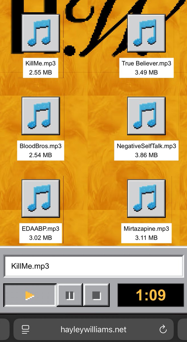 bIuezoya's tweet image. hayley williams you are INSANE
