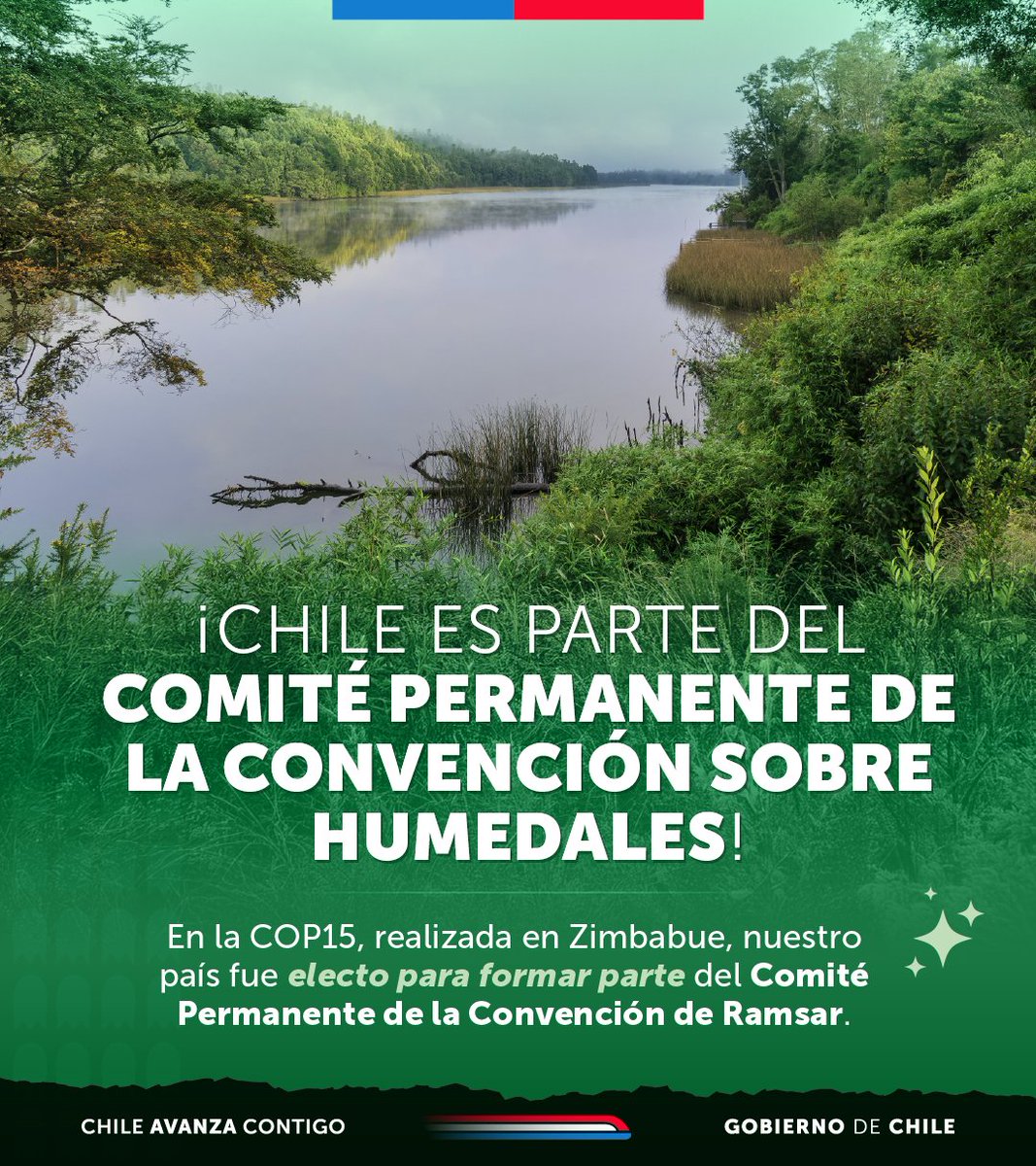 Minrel_Chile's tweet image. 🇨🇱🌿 ¡Chile fue electo para ser parte del Comité Permanente de la Convención #Ramsar sobre humedales!
En el marco de la #COP15, Chile fue reconocido por su destacada trayectoria y esfuerzos en materia de conservación de humedales y el uso de sus ecosistemas.