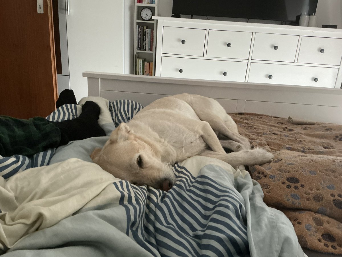 EvaMaria5355's tweet image. Einen wunderschönen guten Abend Euch 🤗
Ich habe heute Morgen ja schon erzählt, dass ich gestern so richtig wütend war und versucht habe gelassener zu werden, was auch so einigermaßen geklappt hat. Am frühen Abend entschied ich dann alles in der Wohnung auszumachen….NICHT Musik…