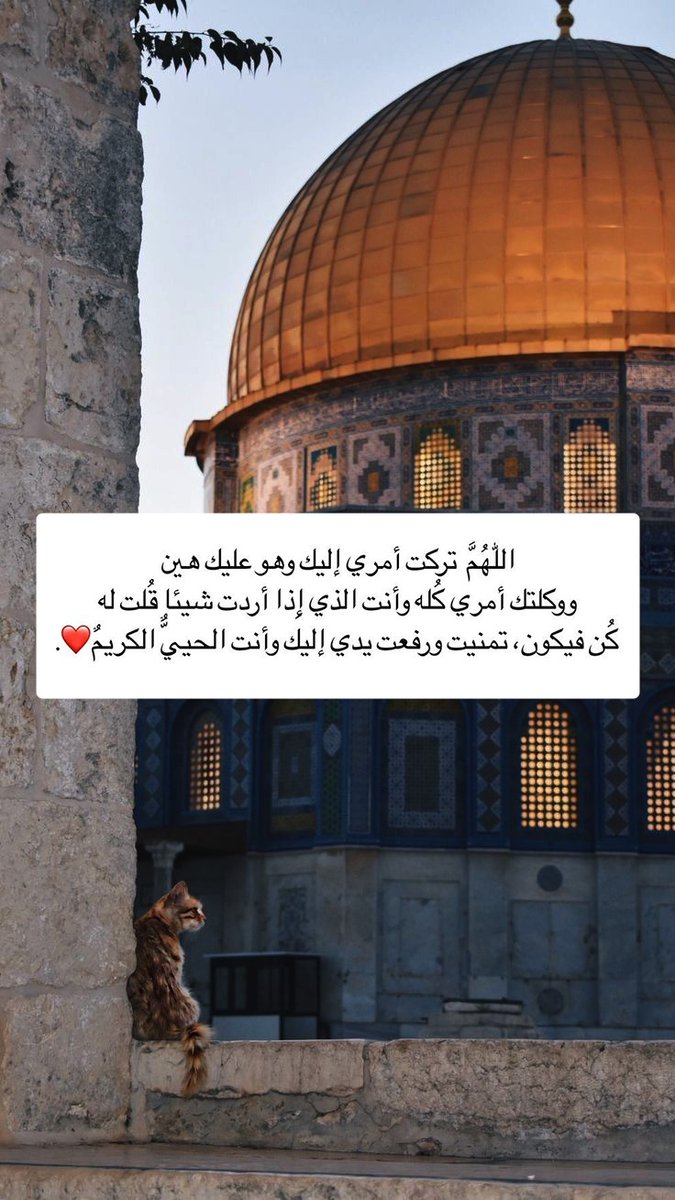 1A_610's tweet image. 