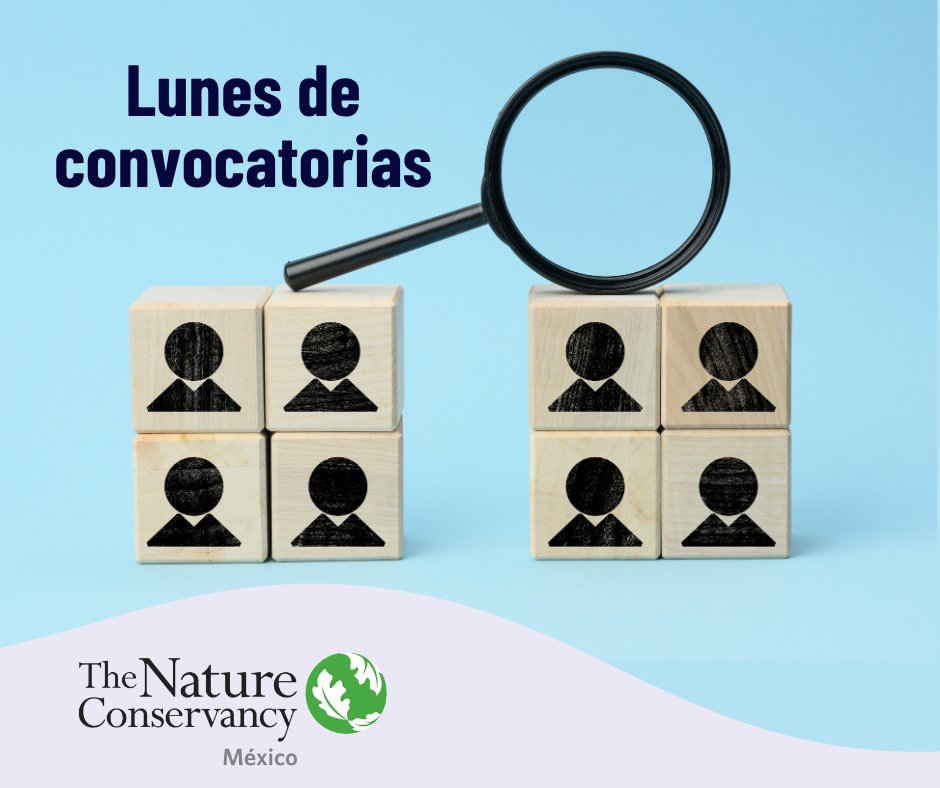 ¡Vuelve el famosísimo #LunesDeConvocatorias!
🌿 TNC abre la vacante de Director/a Finananzas y Operaciones.
📩 ¿Te interesa o conoces a alguien ideal para este rol? Postúlate en link abajo
nature.ly/3H9H68t

#finanzas #DFO #trabajoenMéxico #trabajoenGuatemala