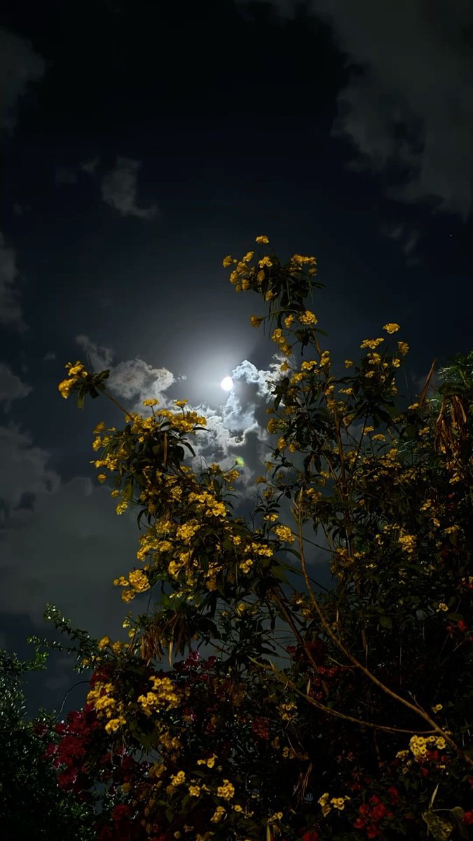 VkkasK's tweet image. Good night friends 😴